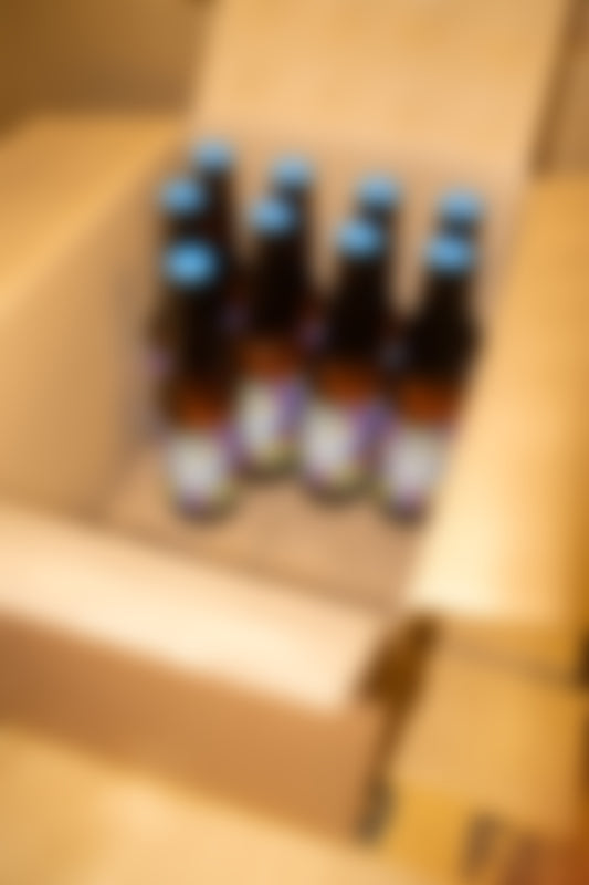 Überraschungsbox Klein · 6 Biere