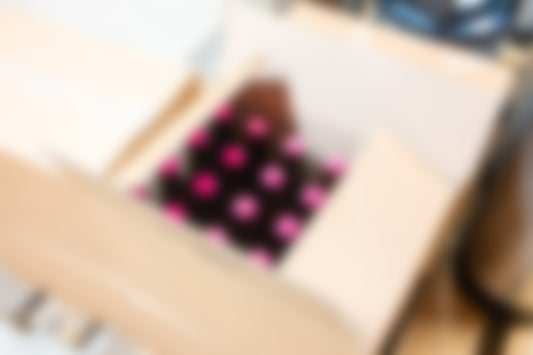 Überraschungsbox Gross · 12 Biere